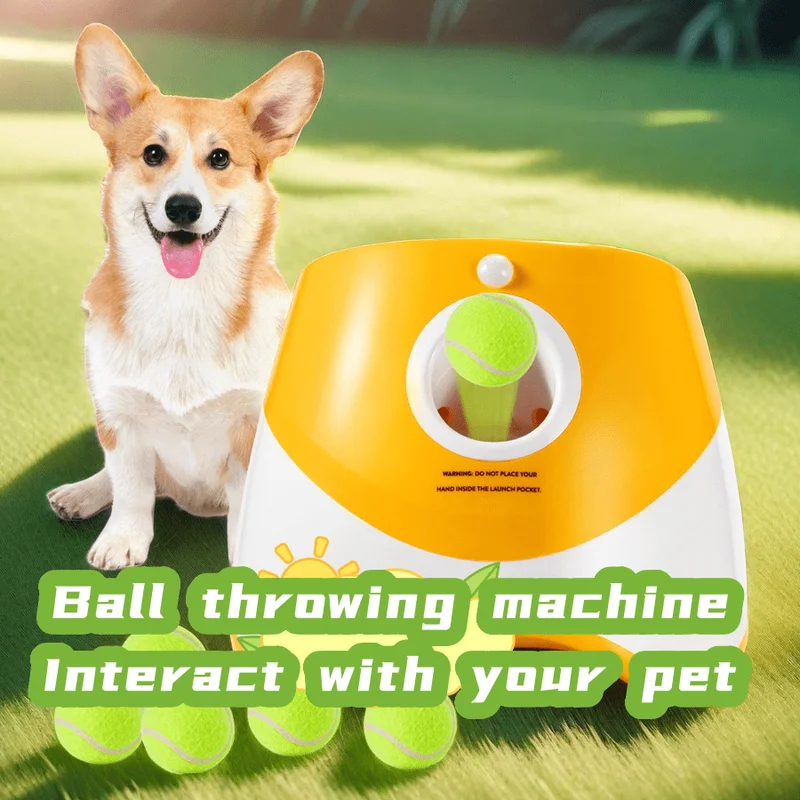 Lanciatore Automatico per Cani - Catapult Launcher Toy recensione e prezzo